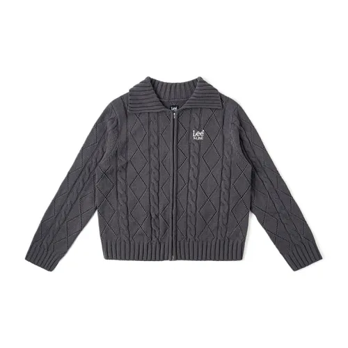 Lee Sweaters Women's Dark Gray