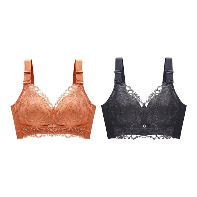 Lanza The Year Of The Dragon Series Bra Women's 1 Pack-123
