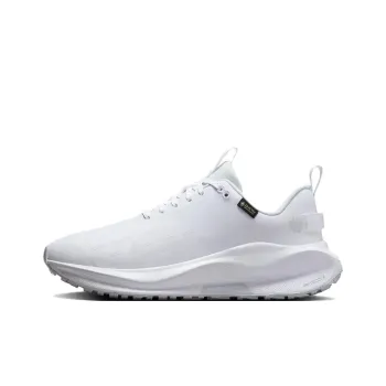 Nike React Infinity Run 4 Gore Tex White Pure Platinum Women's