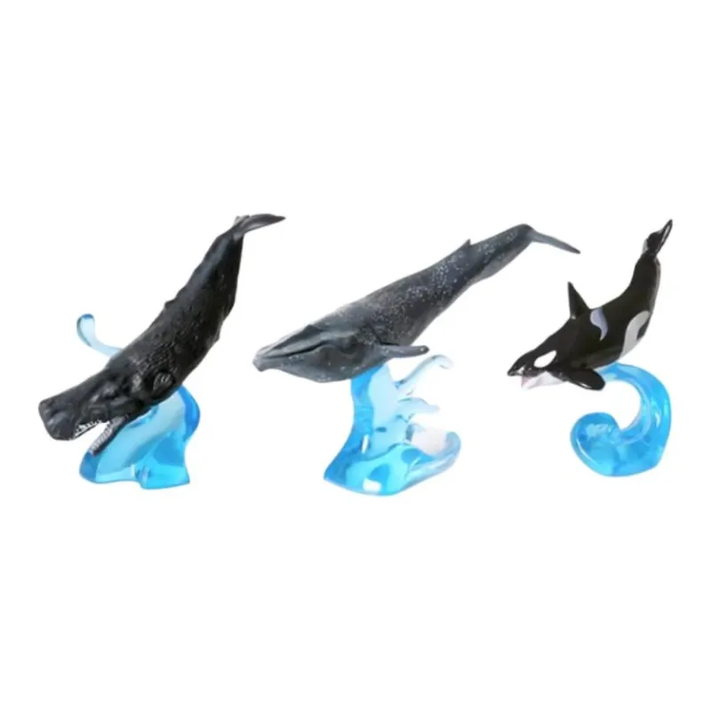 BANDAI Biological Encyclopedia Simulation Marine Life Ornament Mini05 Whale Orca Humpback Whale Bonus Gifts-3