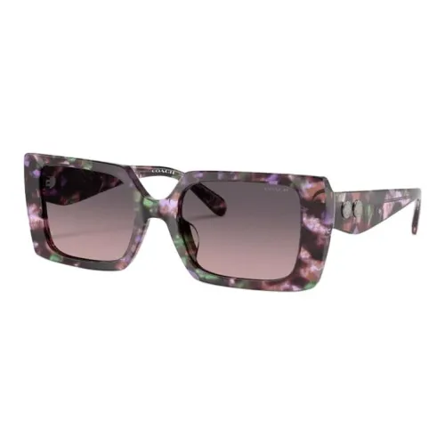 COACH Square Sunglasses Women's Purple