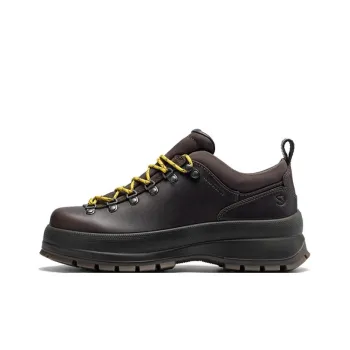 Ecco Trace 30 Low-Top Casual Shoes Men's Brown