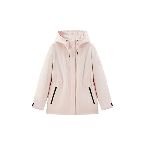 LEDIN Jackets Women's Cotton Candy Pink