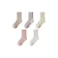 5 Pack[Coffee+Beige Apricot+Cream Yellow+Lotus Root Powders+White]