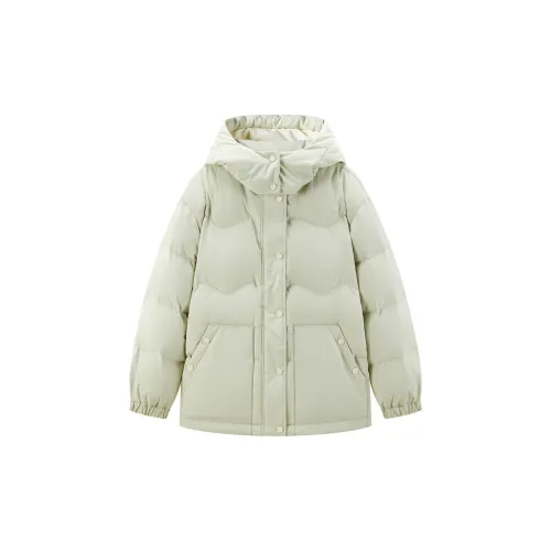 LEDIN Down Jackets Women's Light Frost Green