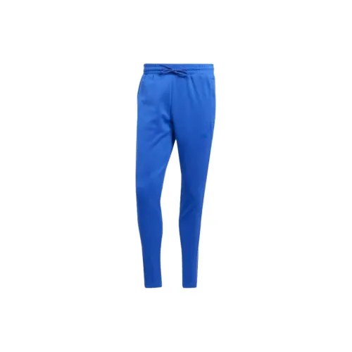 Adidas Clothing Knitted Sweatpants Men Semi-Transparent Blue