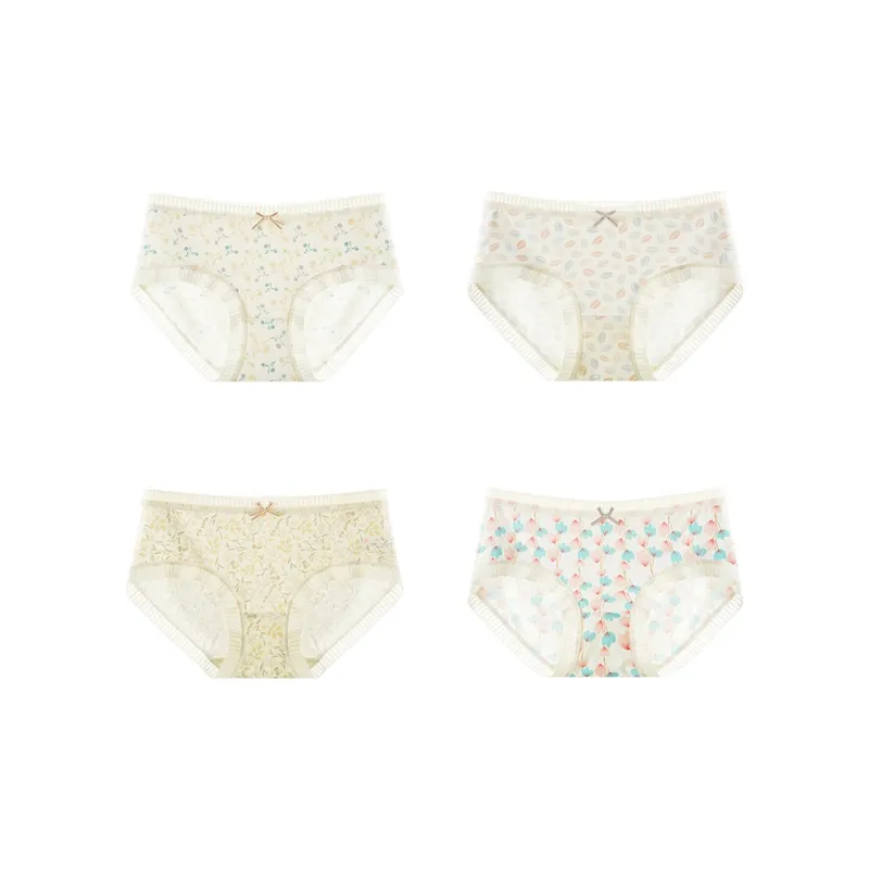 FENTENG Underpants Women's 4 Pack-9