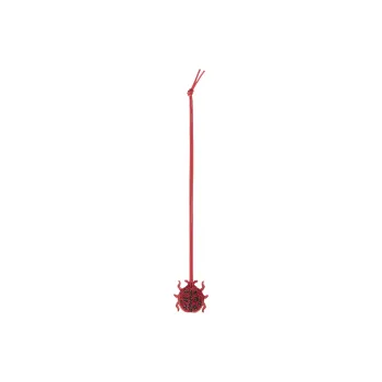 LOEWE Calfskin Keychains Women's Gemstone Red