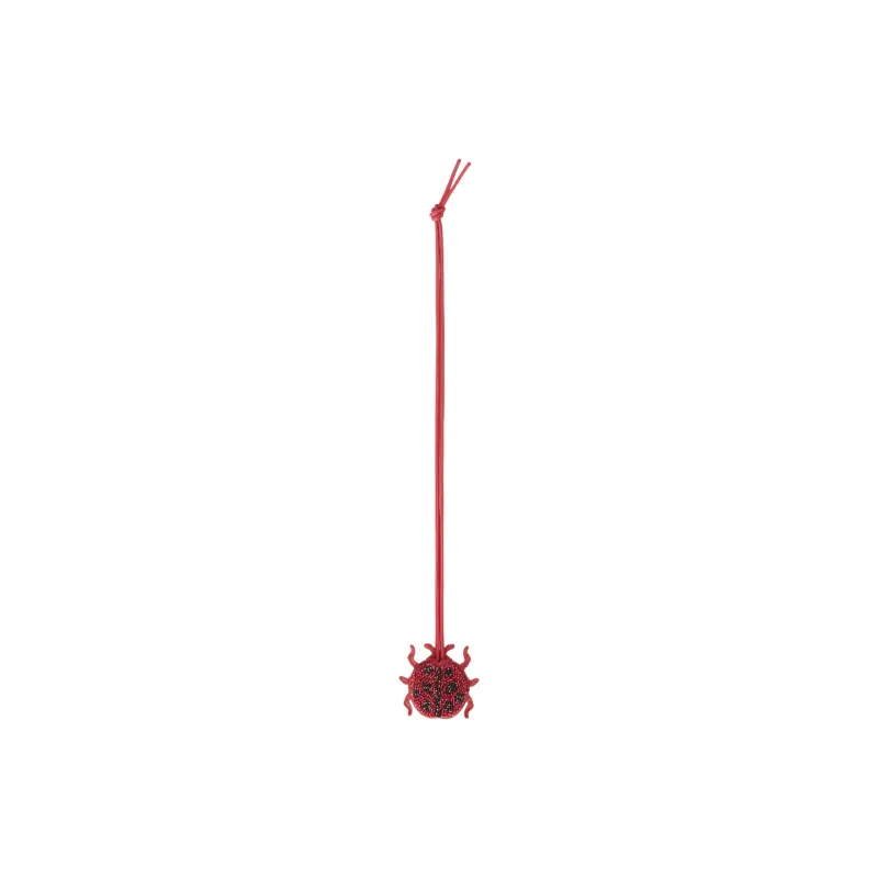 LOEWE Calfskin Keychains Women's Gemstone Red-0
