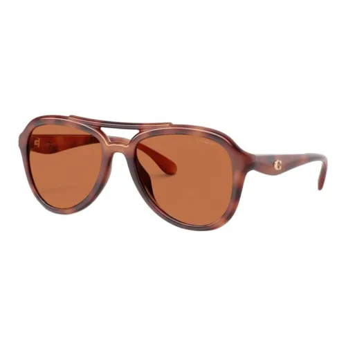 COACH Aviator Sunglasses Women's Brown