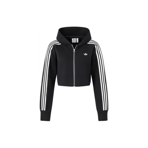 Adidas Originals Sweaters Women's Black