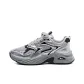 Gray Silver