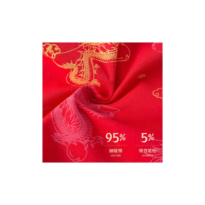 Lanza Men Underpants-29