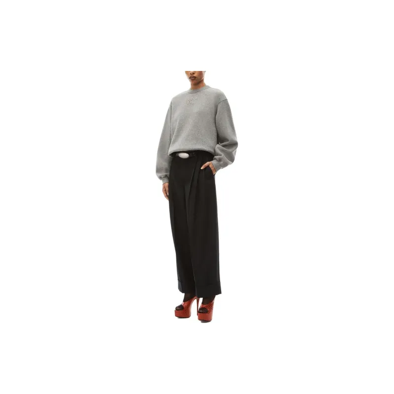 Alexander Wang Puff Logo Sweatshirt In Glitter Terry Sidewalk-1