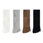 Black+Camel+Light Gray+White