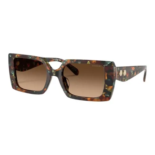 COACH Acetate Square Sunglasses Women's Brown