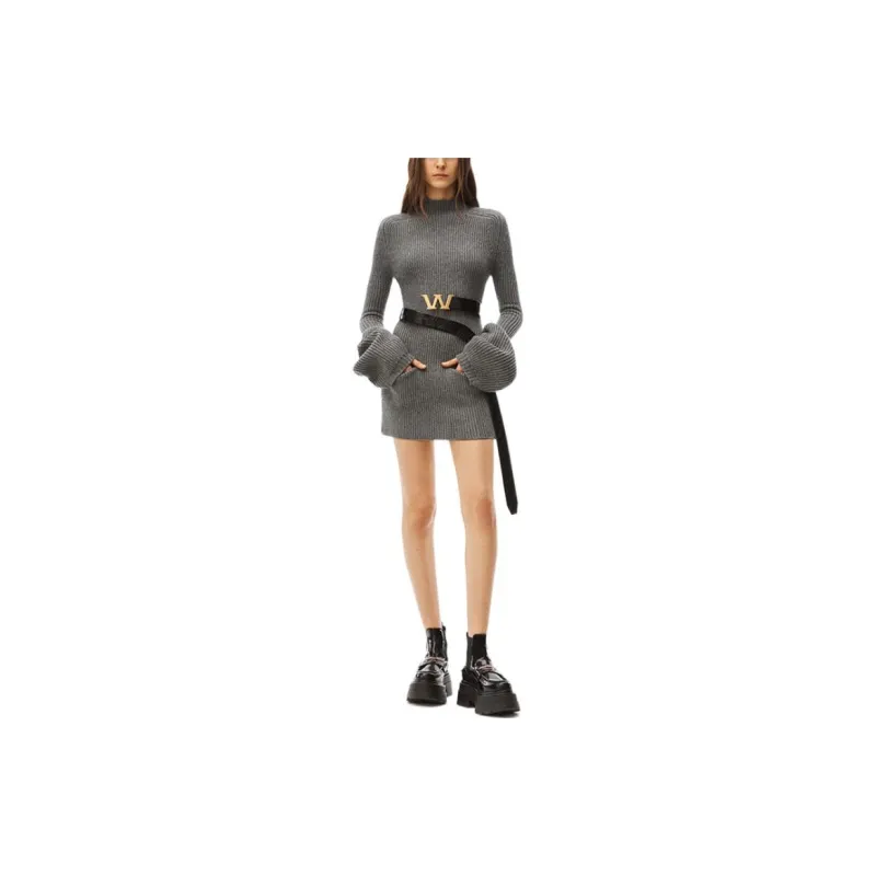 Alexander Wang Long Sleeved Dresses Women's Gray-2