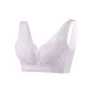 Taro Purple