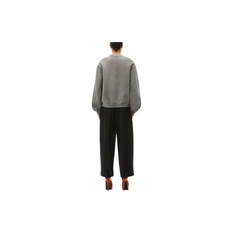 Alexander Wang Puff Logo Sweatshirt In Glitter Terry Sidewalk-2
