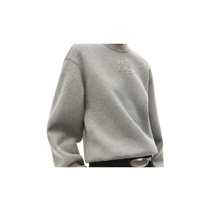 Alexander Wang Puff Logo Sweatshirt In Glitter Terry Sidewalk-3