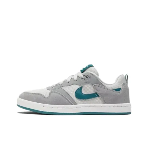 Nike SB Alleyoop 'Grey Geodes Teal' GS