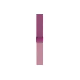 Fuchsia Purple