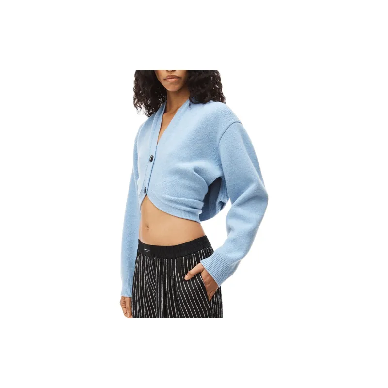 Alexander Wang Sweaters Women's Hemp Blue-4