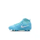 Blue/White