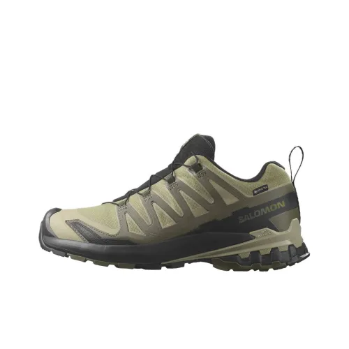 SALOMON XA Pro 3D V9 GORE-TEX 'Dried Herb Black'