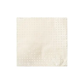 GIORGIO ARMANI Silk Silk Scarves Men's Beige