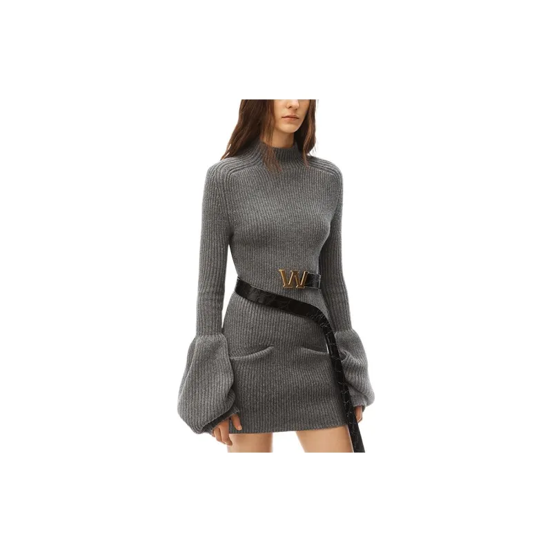 Alexander Wang Long Sleeved Dresses Women's Gray-3