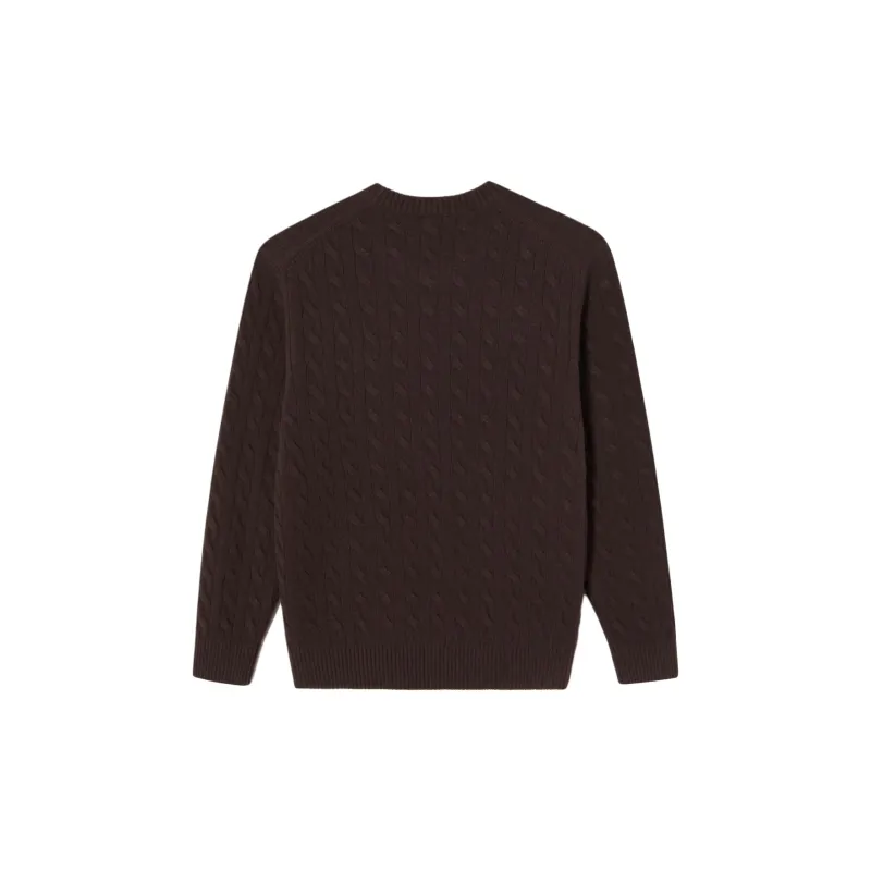 LACOSTE Sweaters Men Brown-1