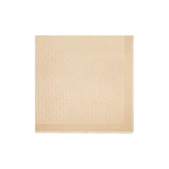 FENDI Organic Silk Shawls Women's Light Umber
