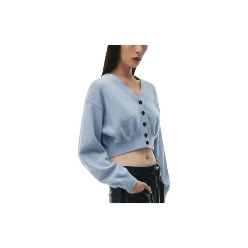 Alexander Wang SS24 Knitwear Women's Blue-3