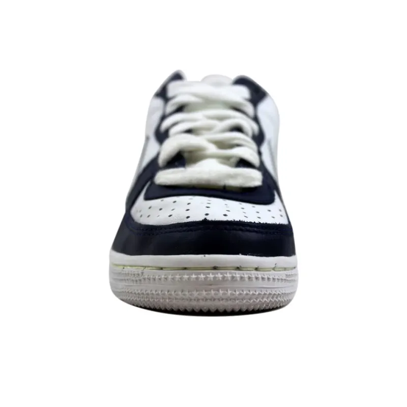 Nike Terminator Low White GS-2