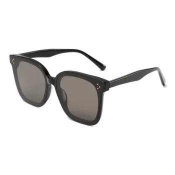 LEARNING RESOURCES Plate Frame Sunglasses Unisex