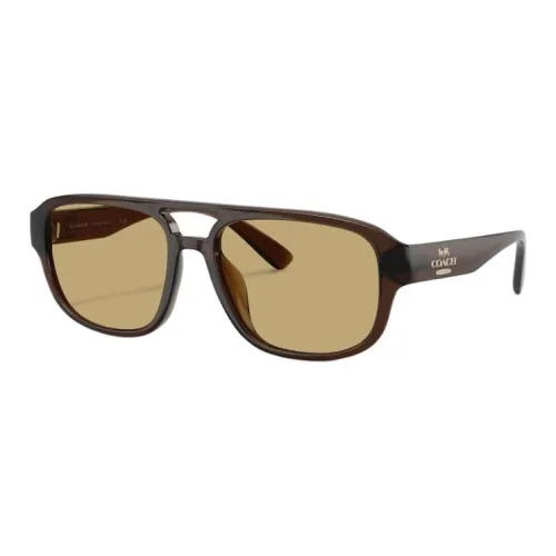 COACH Aviator Sunglasses Unisex Transparent Brown