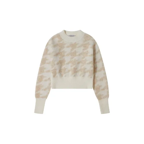 C'N'C Sweaters Women's