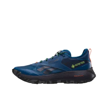 Reebok Dmx Trail GORE TEX 'Escape Blue'