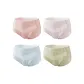 4C Sky Blue+Misty Green+Oil Paintings Pink+Soft Purple
