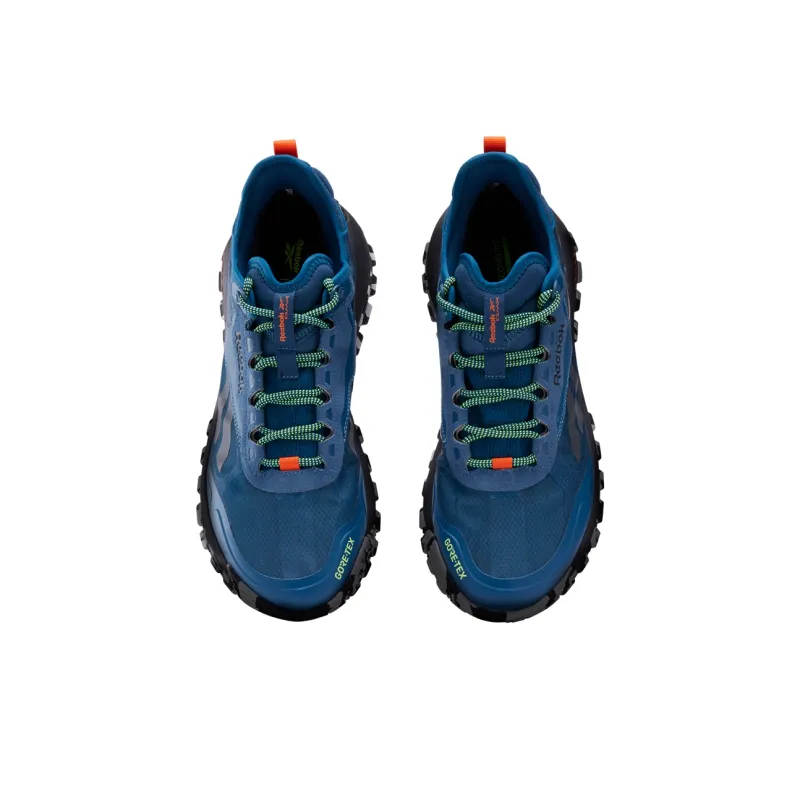 Reebok Dmx Trail GORE TEX 'Escape Blue'-1