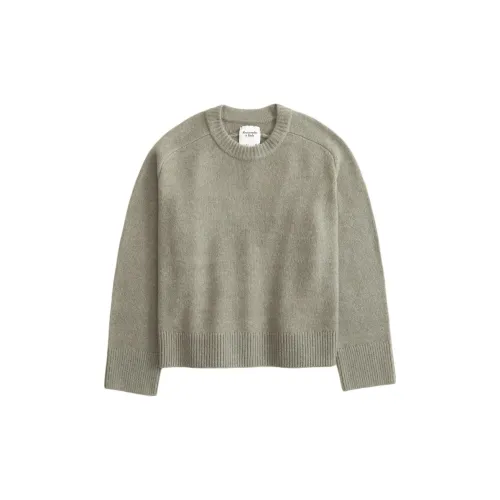 Abercrombie＆Fitch Sweaters Women's Frosty Olive