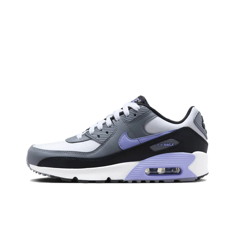 Nike Air Max 90 Leather GS 'Light Thistle'-0