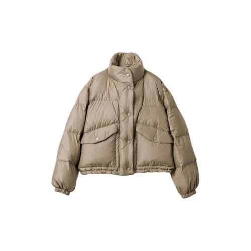 MIU MIU Down Jacket Women's Mud Gray