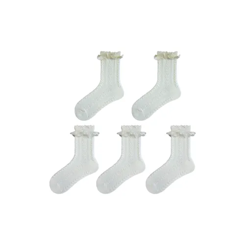 Evening Classroom Mid Calf Socks Women's 5 Pack