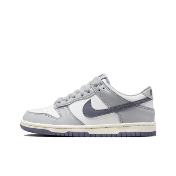 Nike Dunk Low Platinum Tint Light Carbon GS