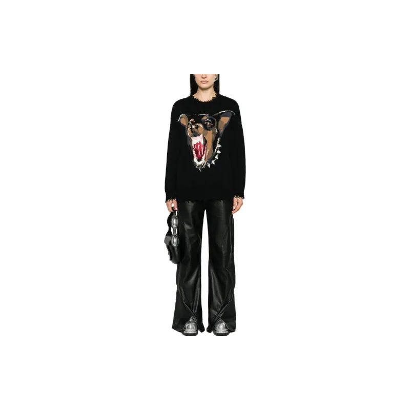 R13 Chihuahua intarsia Cotton Jumper-1