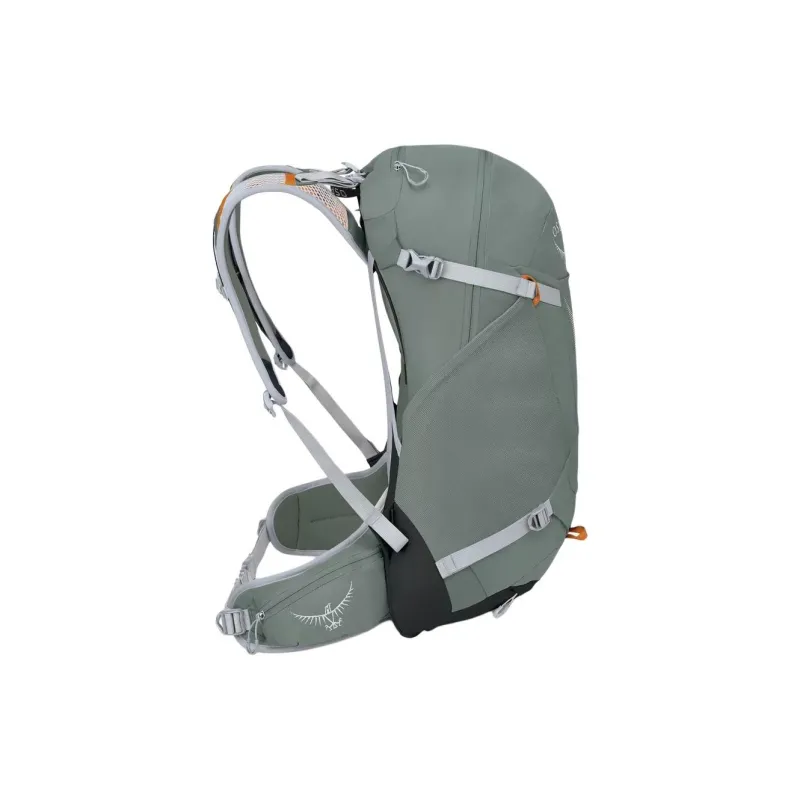 OSPREY Polyester Hiking Bag Backpacks Regular Unisex Pine Green-2