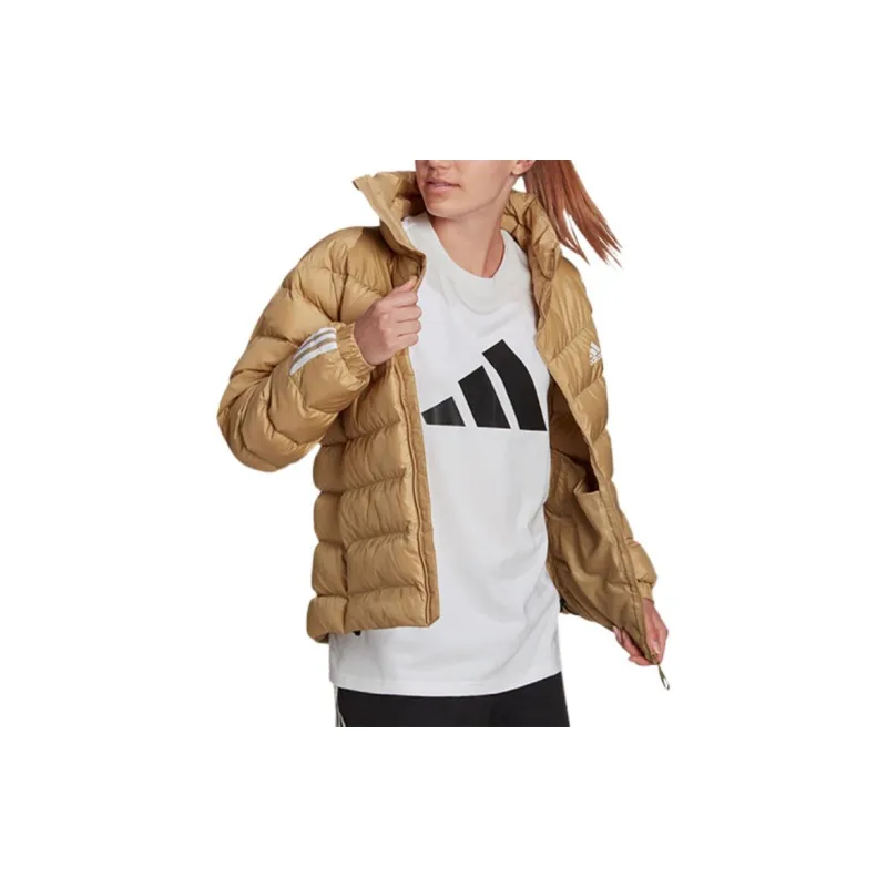 Adidas Embroidered logo Padded Jacket-1