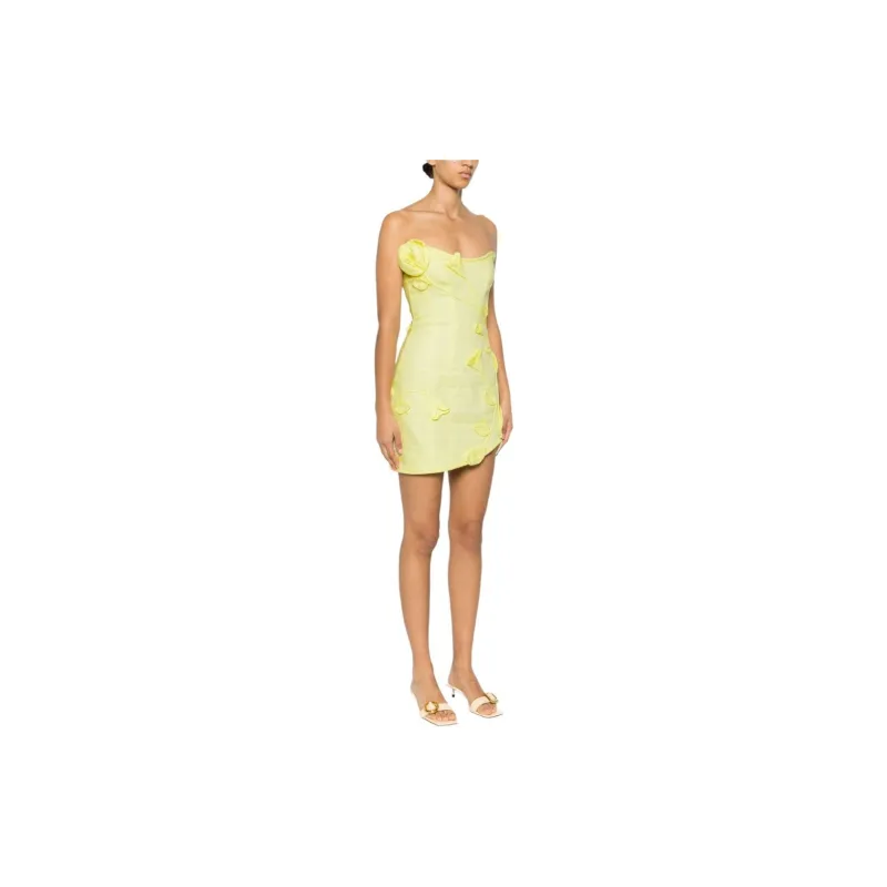 Zimmermann Matchmaker Rose Appliquéd Minidress-3